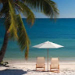 Meet your Posher, Charlene